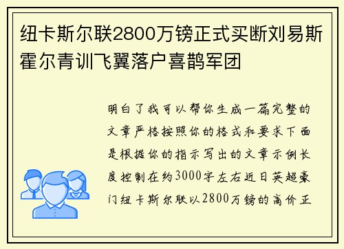 纽卡斯尔联2800万镑正式买断刘易斯霍尔青训飞翼落户喜鹊军团